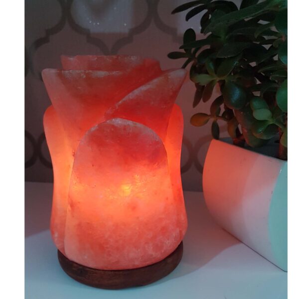 Flower Salt Lamp